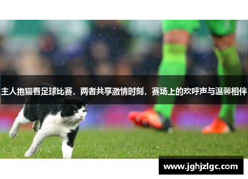 主人抱猫看足球比赛，两者共享激情时刻，赛场上的欢呼声与温馨相伴